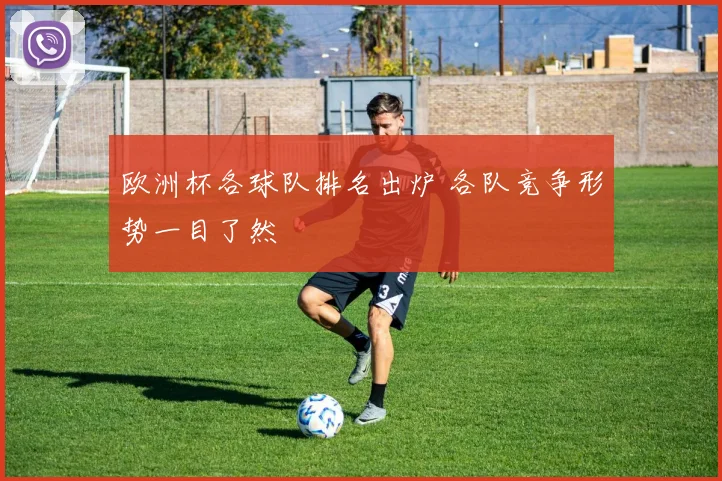 欧洲杯各球队排名出炉 各队竞争形势一目了然