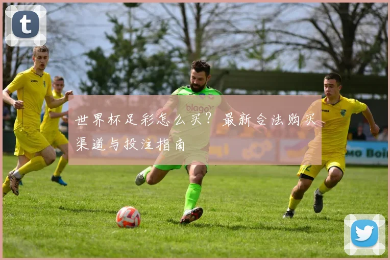 世界杯足彩怎么买？最新合法购买渠道与投注指南